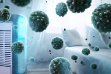 Air Purifiers fight mold spores