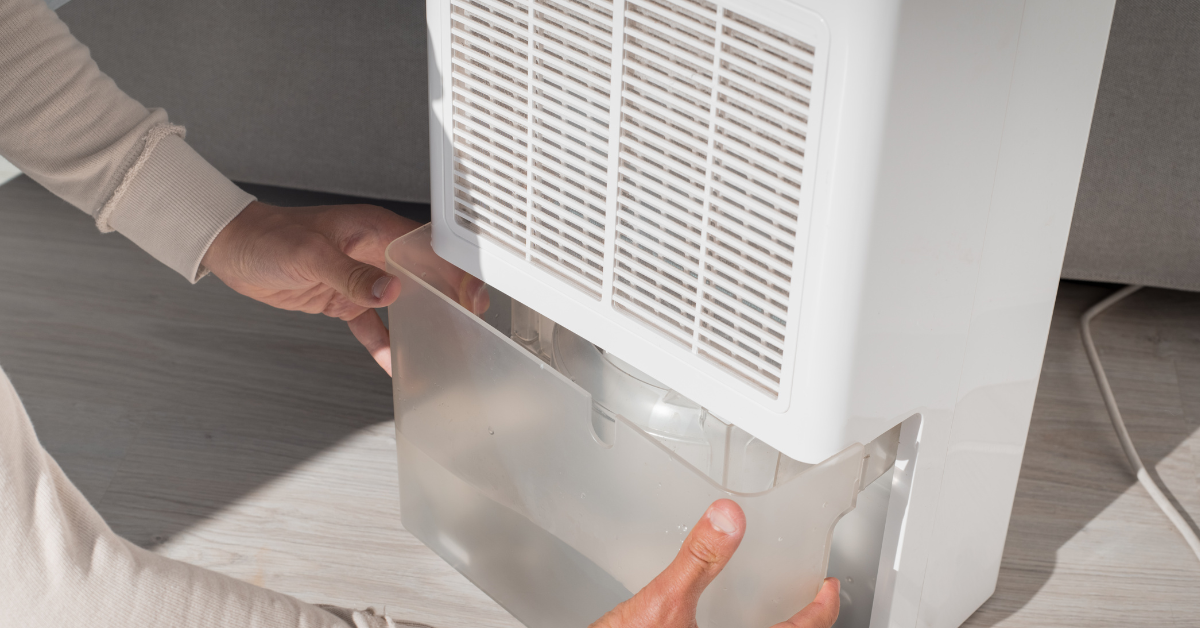 Whole House Dehumidifiers: An In-Depth Guide