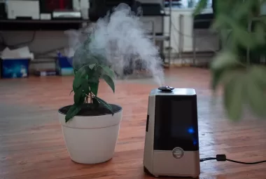 Humidifier and Cough Relief