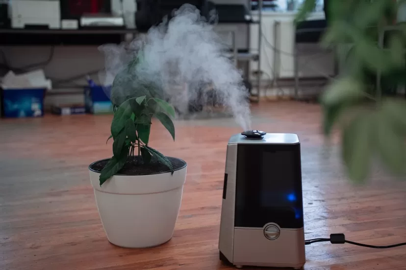 Humidifier and Cough Relief