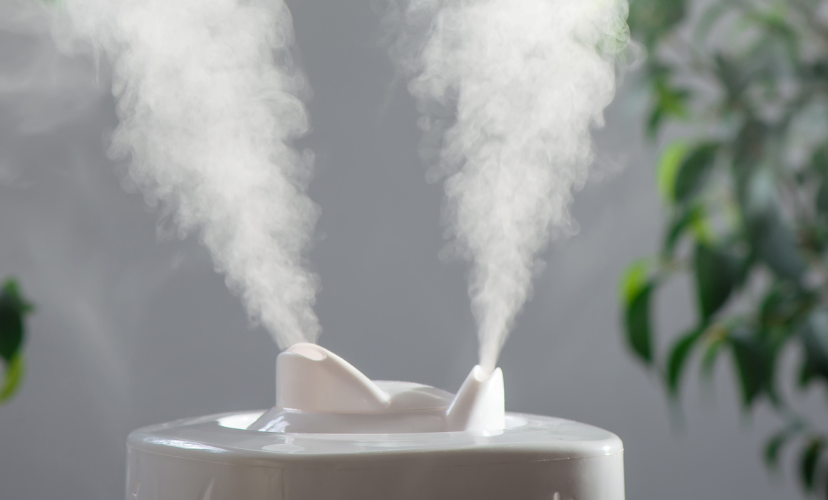 Humidifier for the home