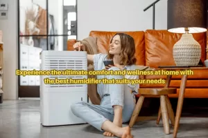 Ultimate comfort with home humidifier