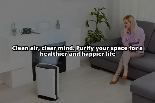 Breathe Easier with Effective Air Purifiers and Cleaners for Your Home