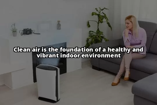 Breathe Easier with Effective Air Purifiers and Cleaners for Your Home