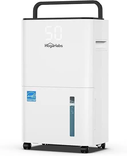 Discover the Best Energy-Efficient Dehumidifiers for Your Home