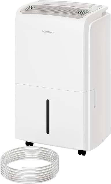 Discover the Best Energy-Efficient Dehumidifiers for Your Home