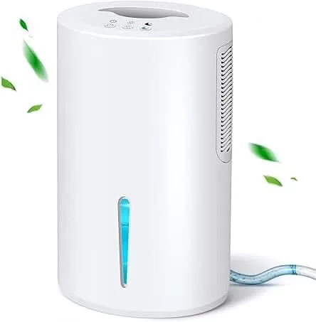 The Ultimate Guide to the Best-Rated Home Dehumidifiers